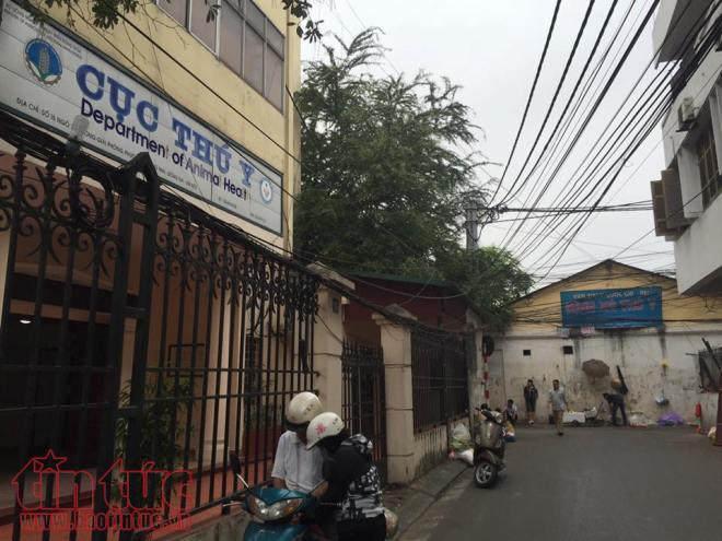 Chợ cóc ngang nhiên ở ngõ 74 đường Trường Chinh, Hà Nội ảnh 8